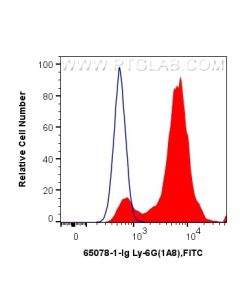 Anti-Mouse Ly-6G (1A8) proteintech 65078-1-Ig