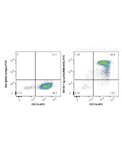 Anti-Mouse Ly-6G/Ly-6C (Gr-1) (RB6-8C5) proteintech 65140-1-Ig