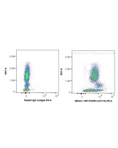 Anti-Human IFNGR1/CD119 Rabbit Recombinant Antibody proteintech 98343-1-RR