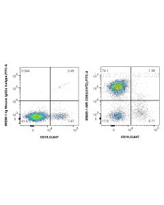 Anti-Human CD5 (UCHT2) Mouse IgG2a Recombinant Antibody proteintech 65609-1-MR