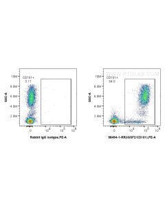 Anti-Human IGSF2/CD101 Rabbit Recombinant Antibody proteintech 98494-1-RR