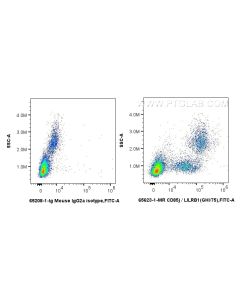 Anti-Human CD85j / LILRB1 (GHI/75) Mouse IgG2a Recombinant Antibody proteintech 65623-1-MR