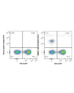 Anti-Human CD19 (4G7) Mouse IgG2a Recombinant Antibody proteintech 65562-1-MR