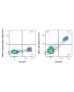 Anti-Human CD64 (10.1) Mouse IgG2a Recombinant Antibody proteintech 65572-1-MR