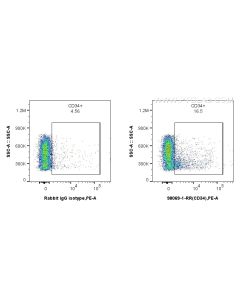 Anti-Mouse CD34 Rabbit Recombinant Antibody proteintech 98069-1-RR