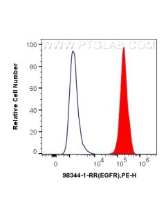 Anti-Human EGFR Rabbit Recombinant Antibody proteintech 98344-1-RR