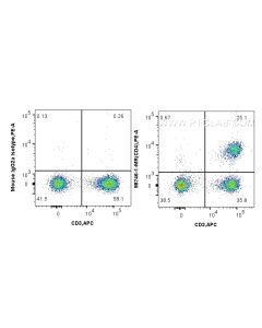 Anti-Human CD4 Mouse Recombinant Antibody proteintech 98746-1-MR