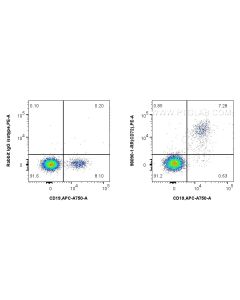 Anti-Human CD72 Rabbit Recombinant Antibody proteintech 98090-1-RR