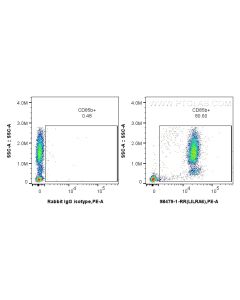 Anti-Human LILRA6/CD85b Rabbit Recombinant Antibody proteintech 98479-1-RR
