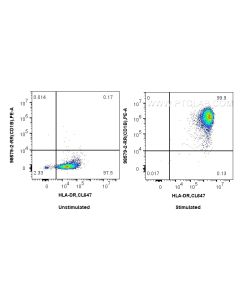 Anti-Human CD1b Rabbit Recombinant Antibody proteintech 98579-2-RR