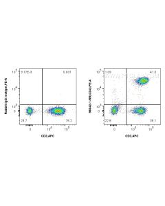 Anti-Human CD4 Rabbit Recombinant Antibody proteintech 98042-1-RR