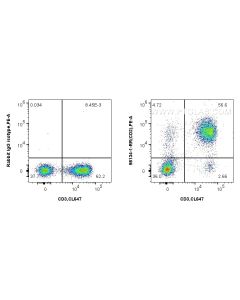 Anti-Human CD2 Rabbit Recombinant Antibody proteintech 98134-1-RR