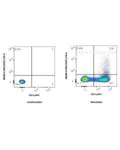 Anti-Human CD207 Rabbit Recombinant Antibody proteintech 98368-2-RR