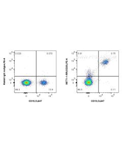 Anti-Human CD20 Rabbit Recombinant Antibody proteintech 98771-1-RR