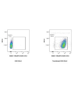 Anti-Human ART4/CD297 Rabbit Recombinant Antibody proteintech 98483-1-RR