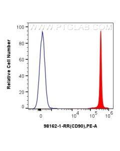 Anti-Rat CD90 Rabbit Recombinant Antibody proteintech 98162-1-RR