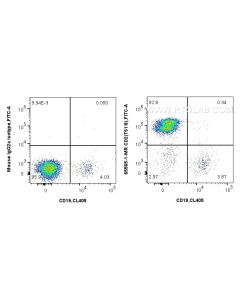 Anti-Human CD2 (TS1/8) Mouse IgG2a Recombinant Antibody proteintech 65565-1-MR