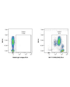 Anti-Human CD45 Rabbit Recombinant Antibody proteintech 98117-5-RR