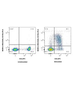 Anti-Human CD40L/CD154 Rabbit Recombinant Antibody proteintech 98355-2-RR