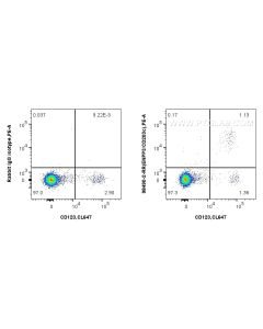 Anti-Human ENPP3/CD203c Rabbit Recombinant Antibody proteintech 98490-2-RR