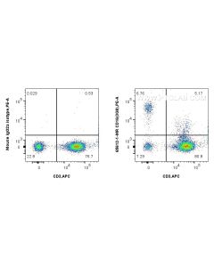 Anti-Human CD16 (3G8) Mouse IgG2a Recombinant Antibody proteintech 65612-1-MR