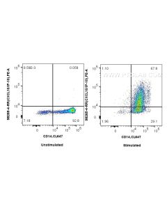 Anti-Human CXCL10/IP-10 Rabbit Recombinant Antibody proteintech 98265-4-RR