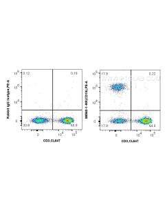 Anti-Human CD19 Rabbit Recombinant Antibody proteintech 98560-1-RR