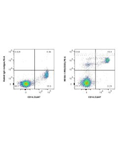 Anti-Human CD33 Rabbit Recombinant Antibody proteintech 98184-1-RR