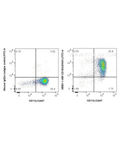 Anti-Human CD163 (GHI/61) Mouse IgG2a Recombinant Antibody proteintech 65561-1-MR
