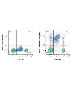 Anti-Human CD39/ENTPD1 Rabbit Recombinant Antibody proteintech 98102-1-RR