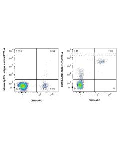 Anti-Human CD20 (2H7) Mouse IgG2a Recombinant Antibody proteintech 65575-1-MR