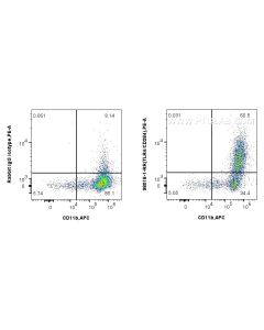 Anti-Mouse TLR4/CD284 Rabbit Recombinant Antibody proteintech 98018-1-RR
