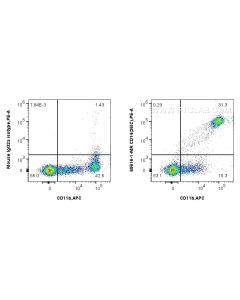 Anti-Human CD14 (26IC) Mouse IgG2a Recombinant Antibody proteintech 65616-1-MR