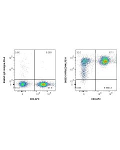Anti-Human CD44 Rabbit Recombinant Antibody proteintech 98333-3-RR