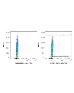 Anti-Human CD160 Rabbit Recombinant Antibody proteintech 98111-1-RR