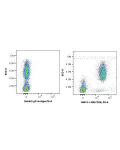 Anti-Human CD24 Rabbit Recombinant Antibody proteintech 98615-1-RR