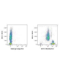 Anti-Human CD48 Rabbit Recombinant Antibody proteintech 98170-1-RR