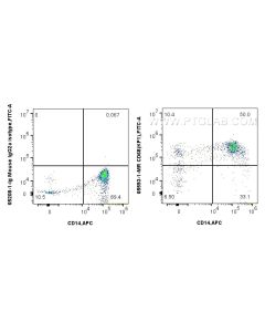 Anti-Human CD68 (KP1) Mouse IgG2a Recombinant Antibody proteintech 65593-1-MR