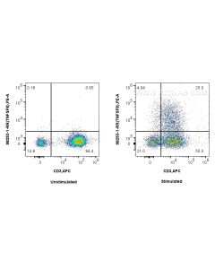 Anti-Human CD30 Ligand/TNFSF8 Rabbit Recombinant Antibody proteintech 98253-1-RR