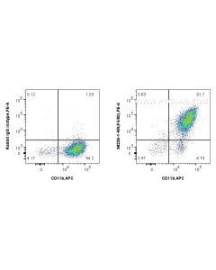 Anti-Mouse F4/80 Rabbit Recombinant Antibody proteintech 98236-1-RR
