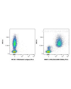 Anti-Human CEACAM8/CD66b Rabbit Recombinant Antibody proteintech 98507-2-RR