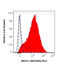 Anti-Human CD63 Rabbit Recombinant Antibody proteintech 98318-1-RR