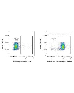 Anti-Human CD155/PVR (SKII.4) Mouse IgG2a Recombinant Antibody proteintech 65632-1-MR