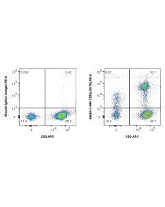 Anti-Human CD8a (OKT8) Mouse IgG2a Recombinant Antibody proteintech 65604-1-MR