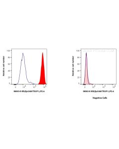 Anti-Human EPCAM/CD326 Rabbit Recombinant Antibody proteintech 98303-5-RR