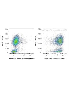 Anti-Human CD58 (TS2/9) Mouse IgG2a Recombinant Antibody proteintech 65597-1-MR