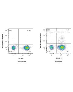 Anti-Human IL-4 Rabbit Recombinant Antibody proteintech 98138-1-RR