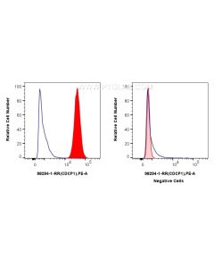 Anti-Human CDCP1/CD318 Rabbit Recombinant Antibody proteintech 98294-1-RR