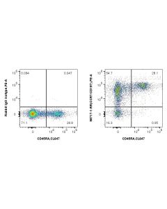 Anti-Human CCR7 Rabbit Recombinant Antibody proteintech 98717-1-RR