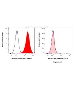 Anti-Human BCMA/TNFRSF17 Rabbit Recombinant Antibody proteintech 98215-1-RR